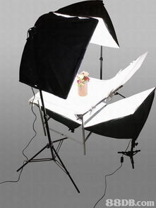 從OL套裝批發到專業攝影服務 商業拓展與技術融合之路